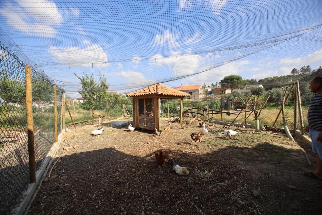 Apartamentos Rurais - Casas Do Lagar Rosmaninhal エクステリア 写真
